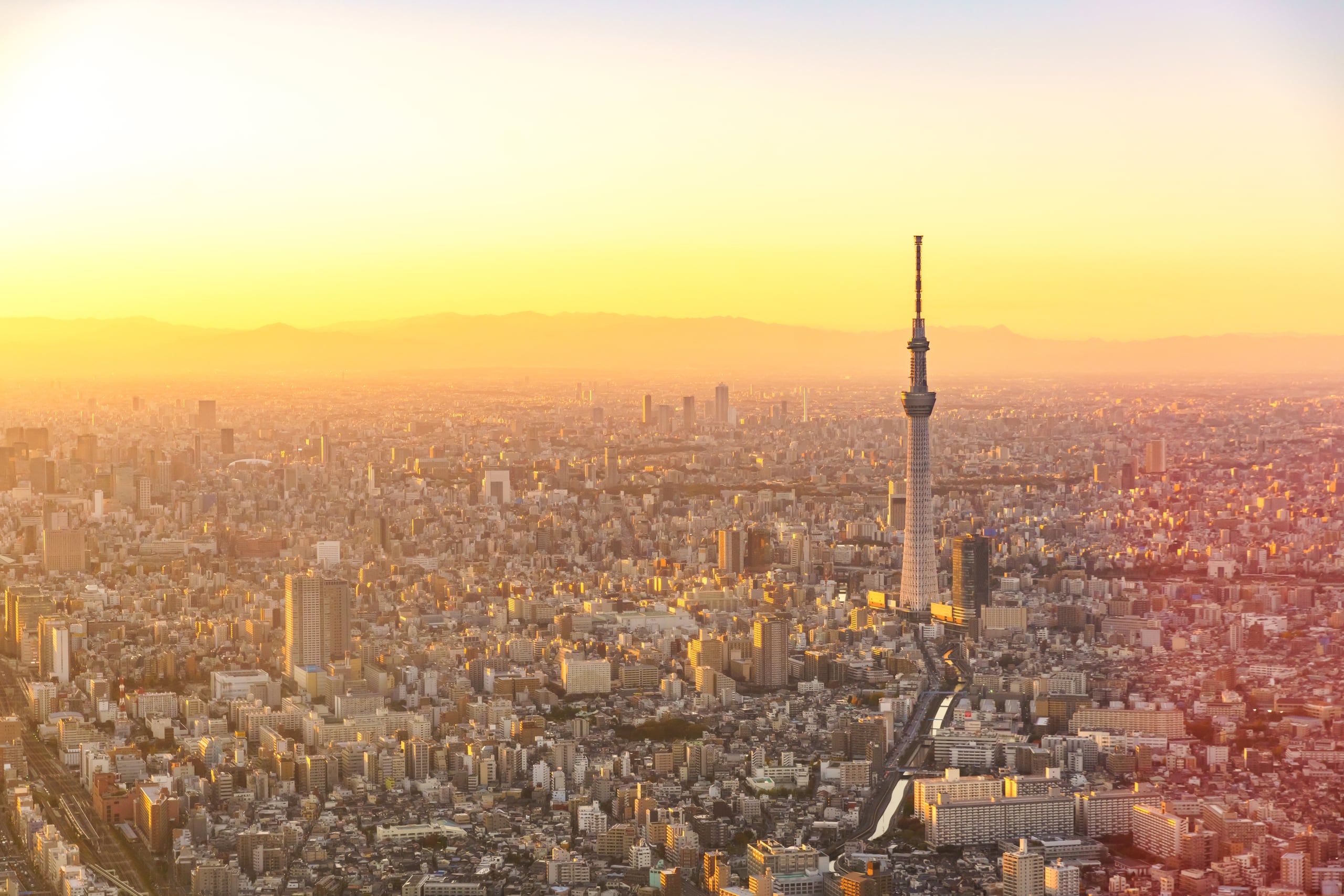 The Tokyo Skytree rising above the low roofs of the east side of Tokyo at sunset, mountains on the horizon