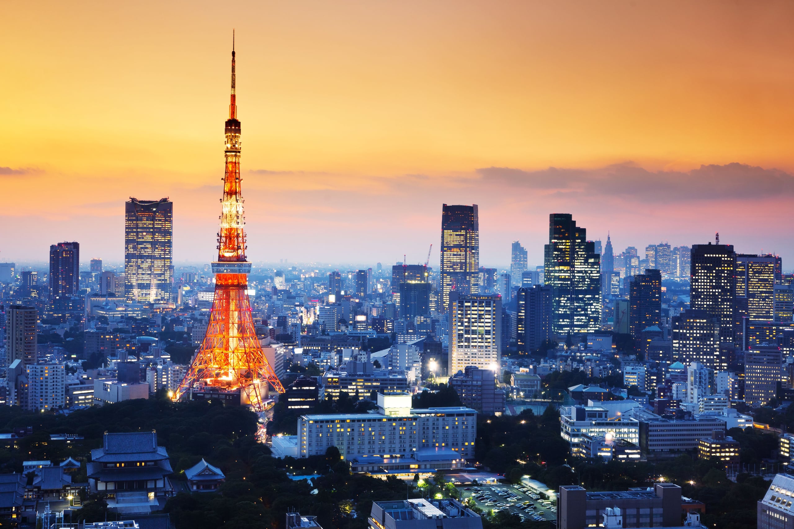 Tokyo Tower lit orange at dusk above the layered skyline of Shiba, the roof of Zojoji in the foreground