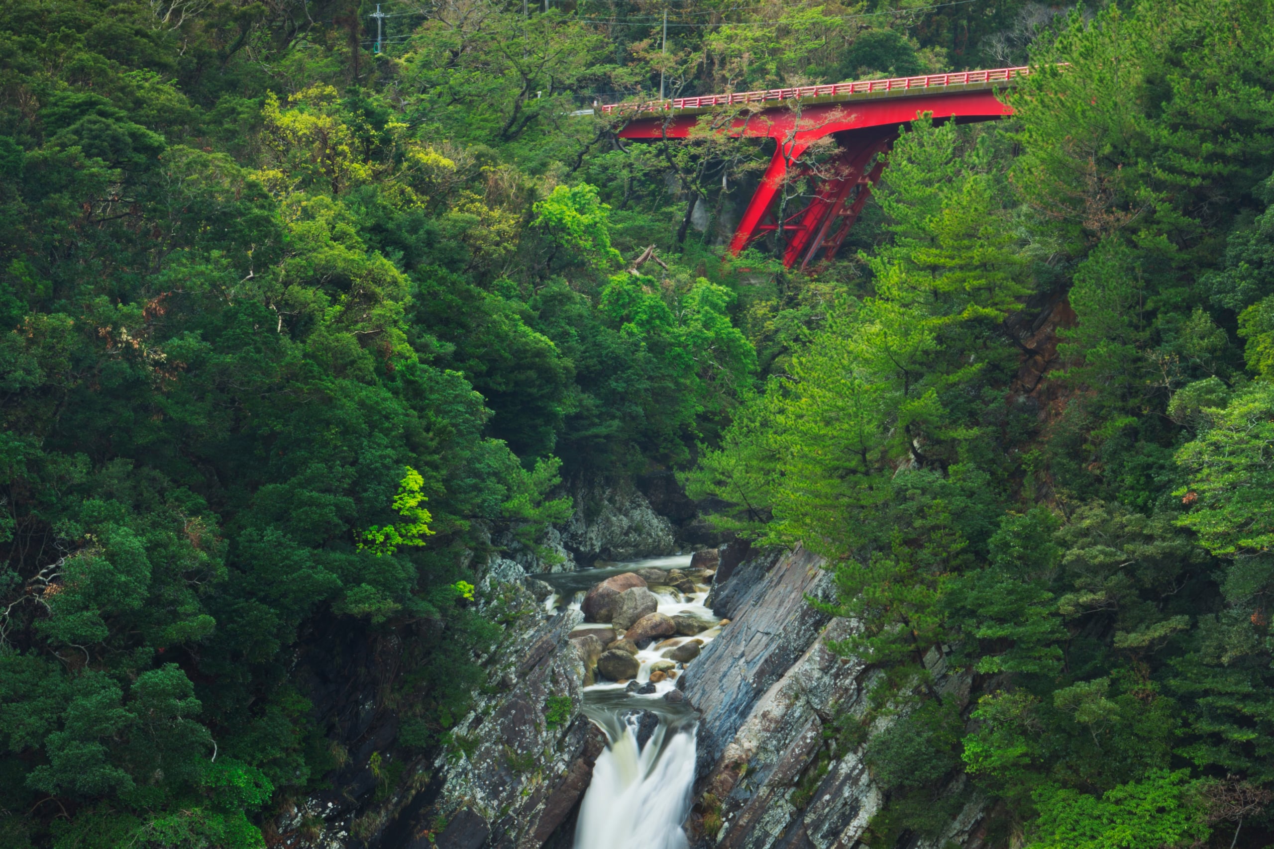 A waterfall falling through a rocky gorge in dense green forest beneath a red bridge
