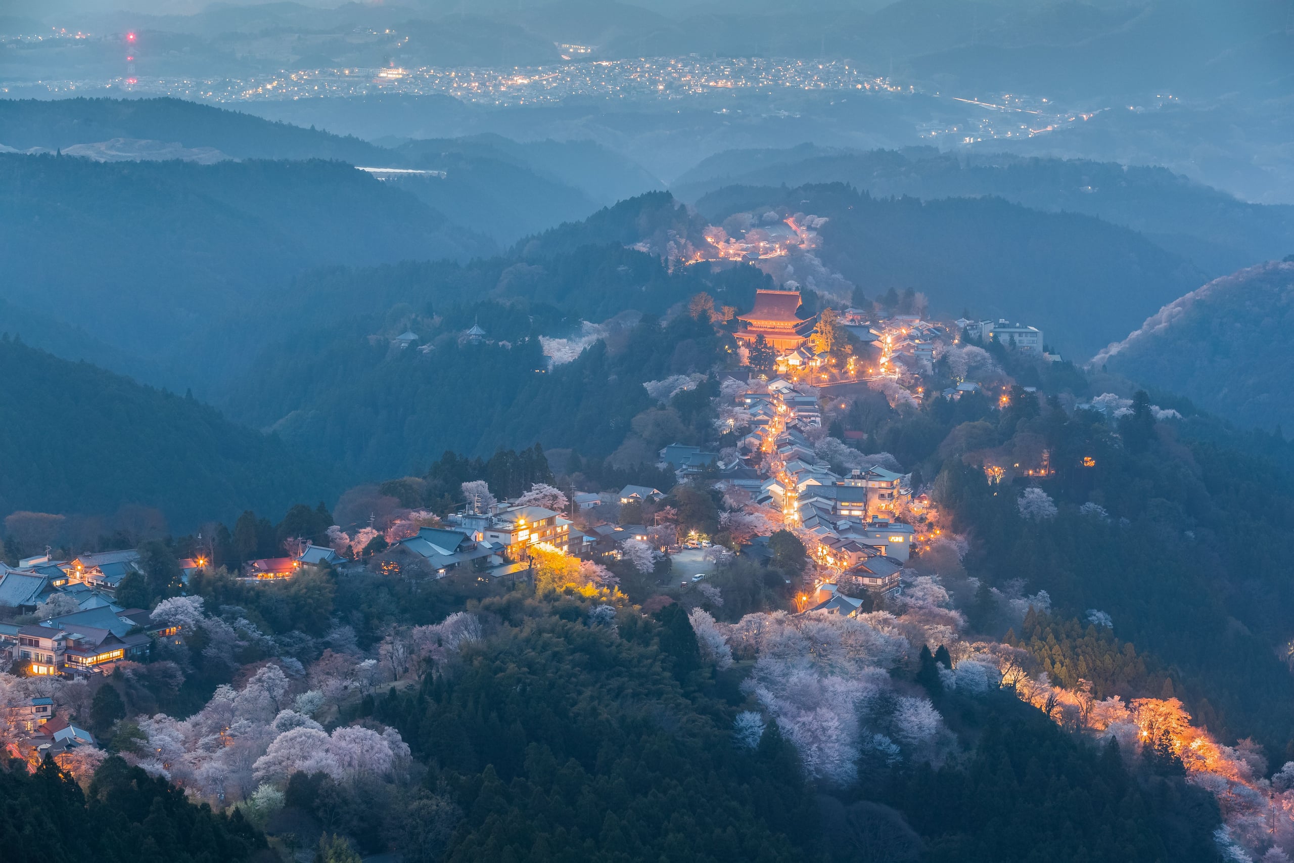 Mount Yoshino at dusk, the lanterns of the mountainside temple town lit among cherry trees in blossom