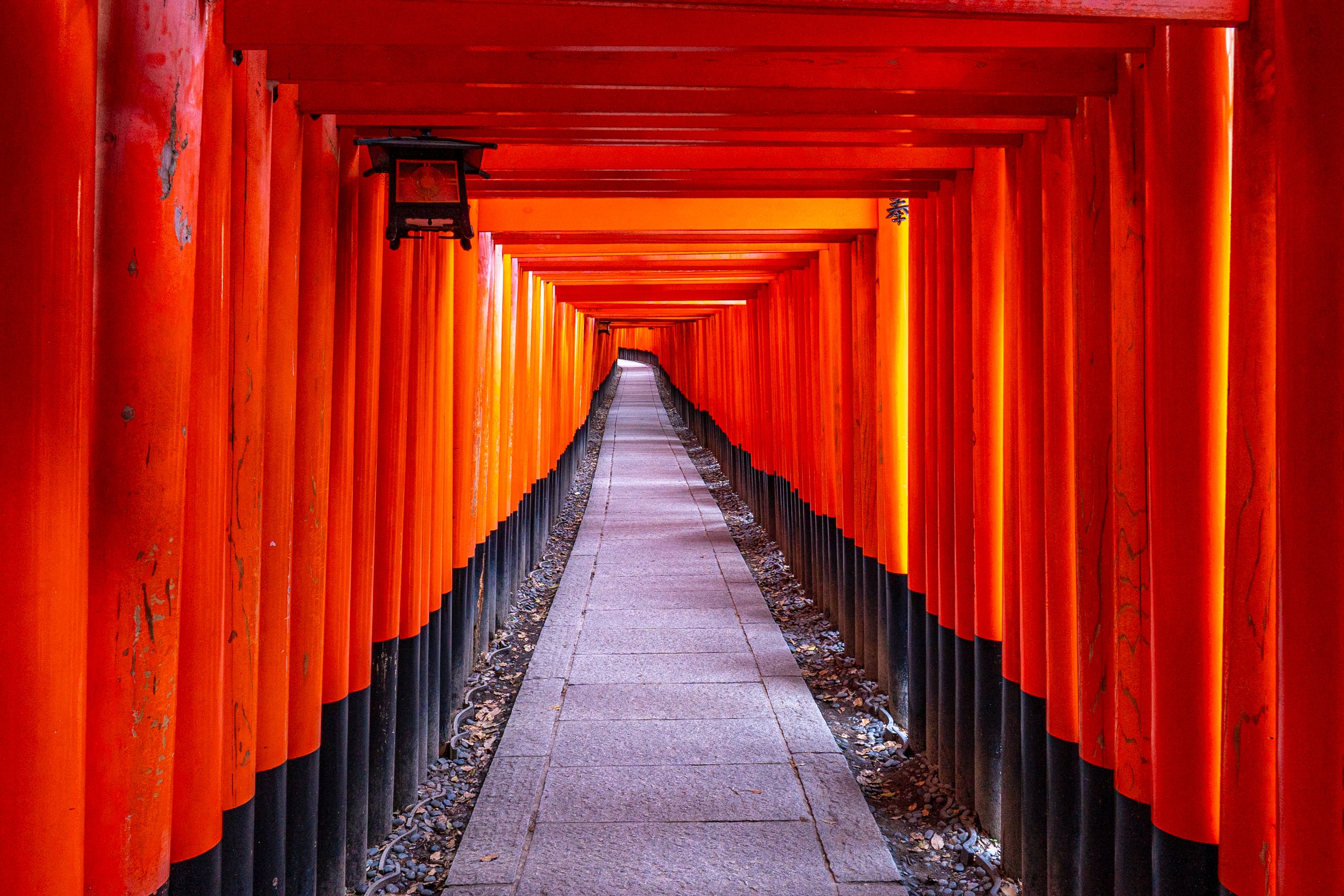 A corridor of vermilion torii gates at Fushimi Inari, the stone path running straight between them