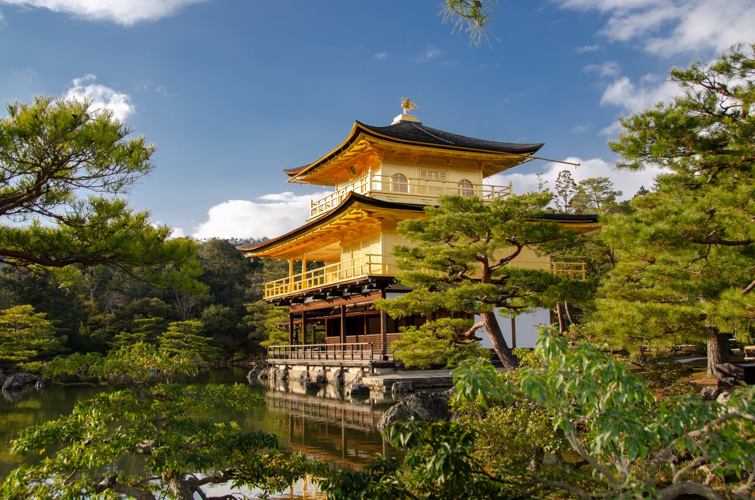 Kinkaku-ji, its upper storeys leafed in gold, seen across the pond between the branches of pines