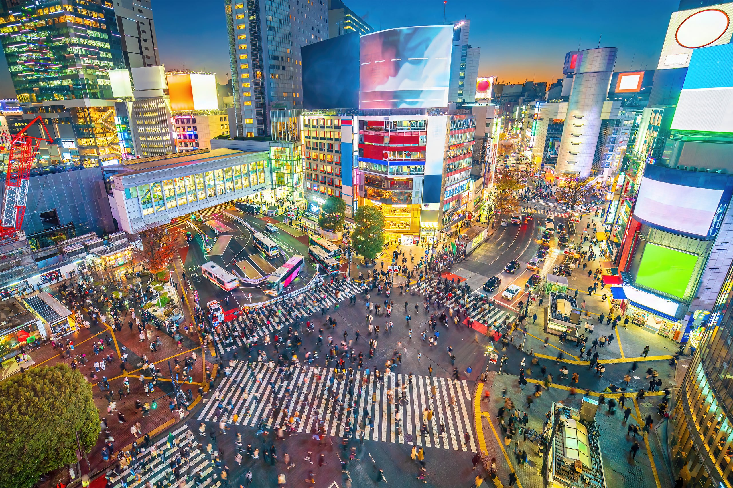Shibuya Crossing from above at dusk beneath the lit screens of the surrounding buildings