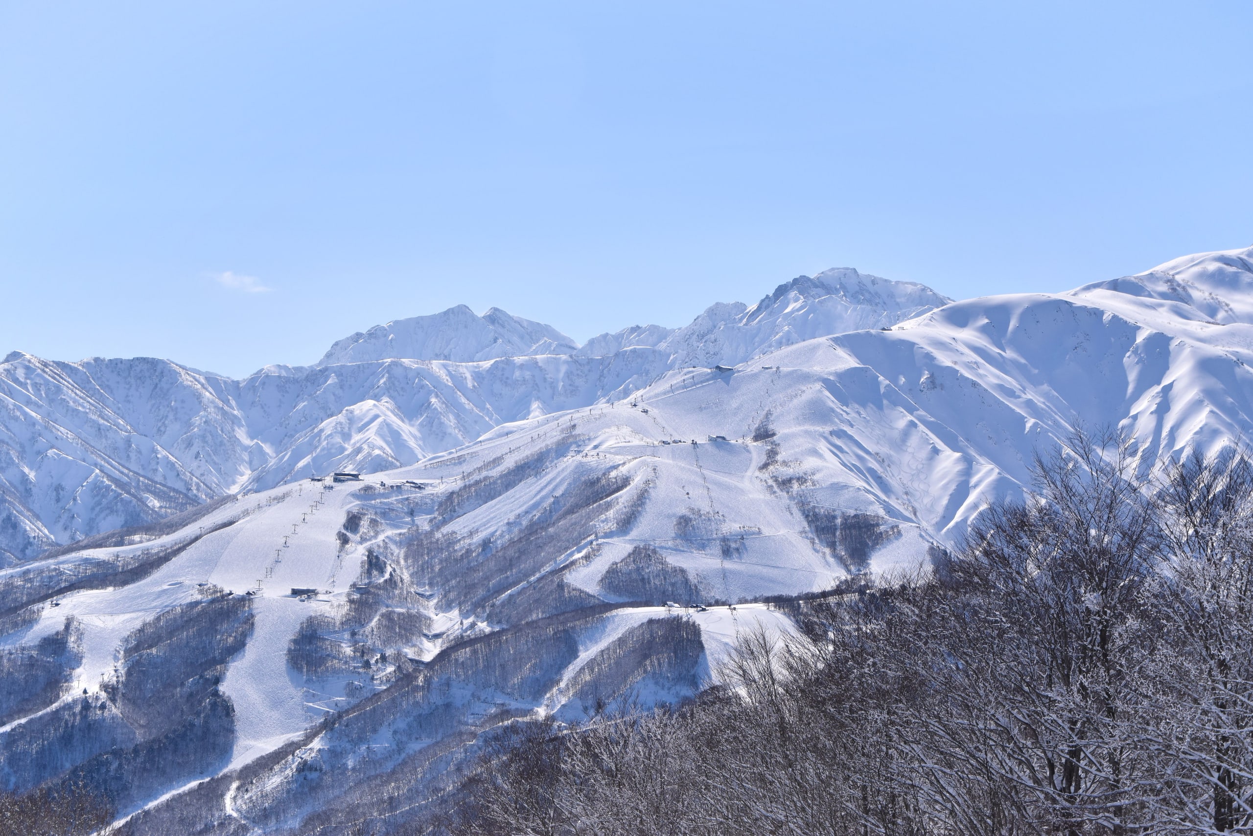 The open ski runs of Happo-one and their lift lines climbing a white ridge, the snow-covered peaks of the Northern Alps behind, frosted trees in the foreground under a pale winter sky