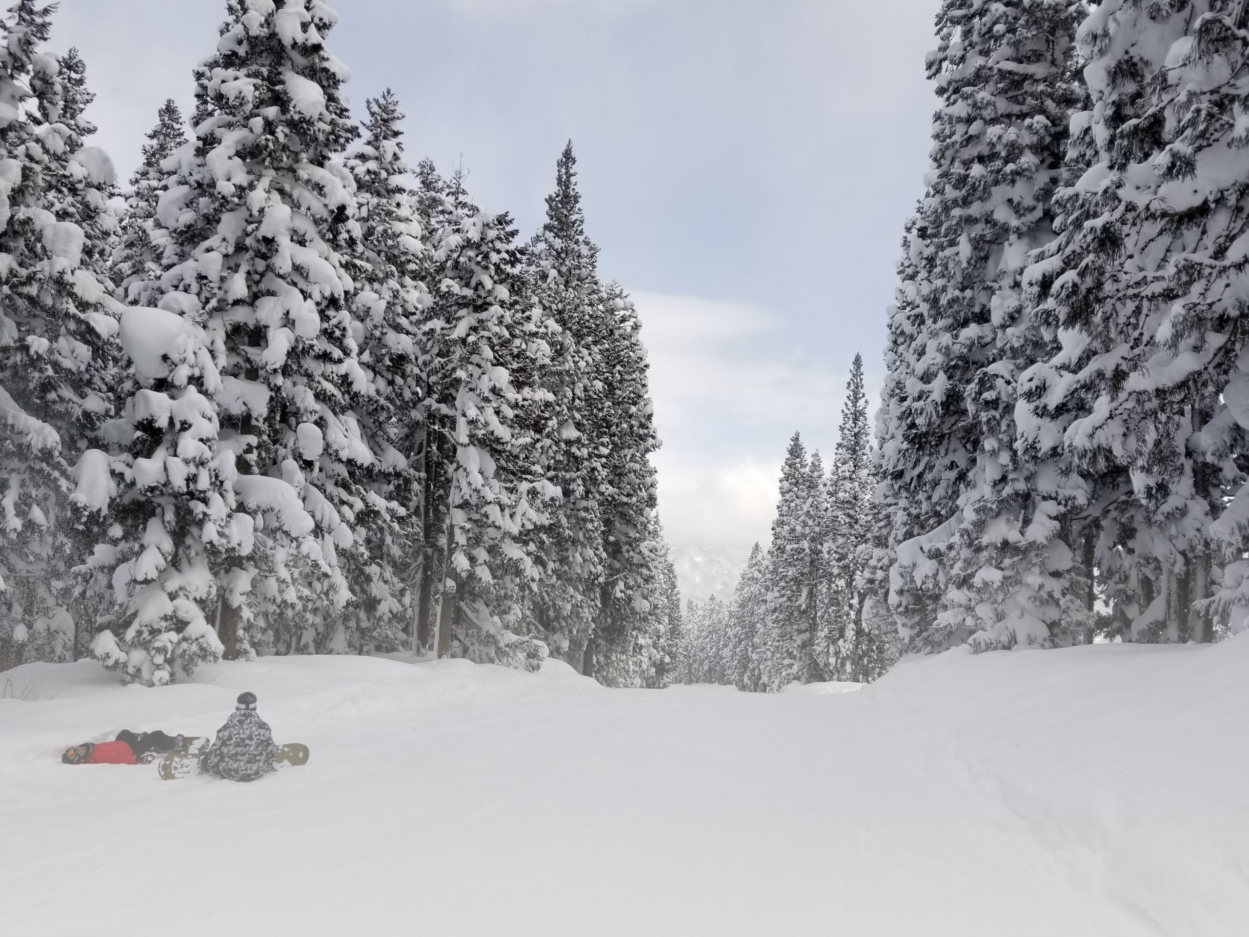A wide ski run between tall cedars bowed under deep snow, two snowboarders resting in the powder