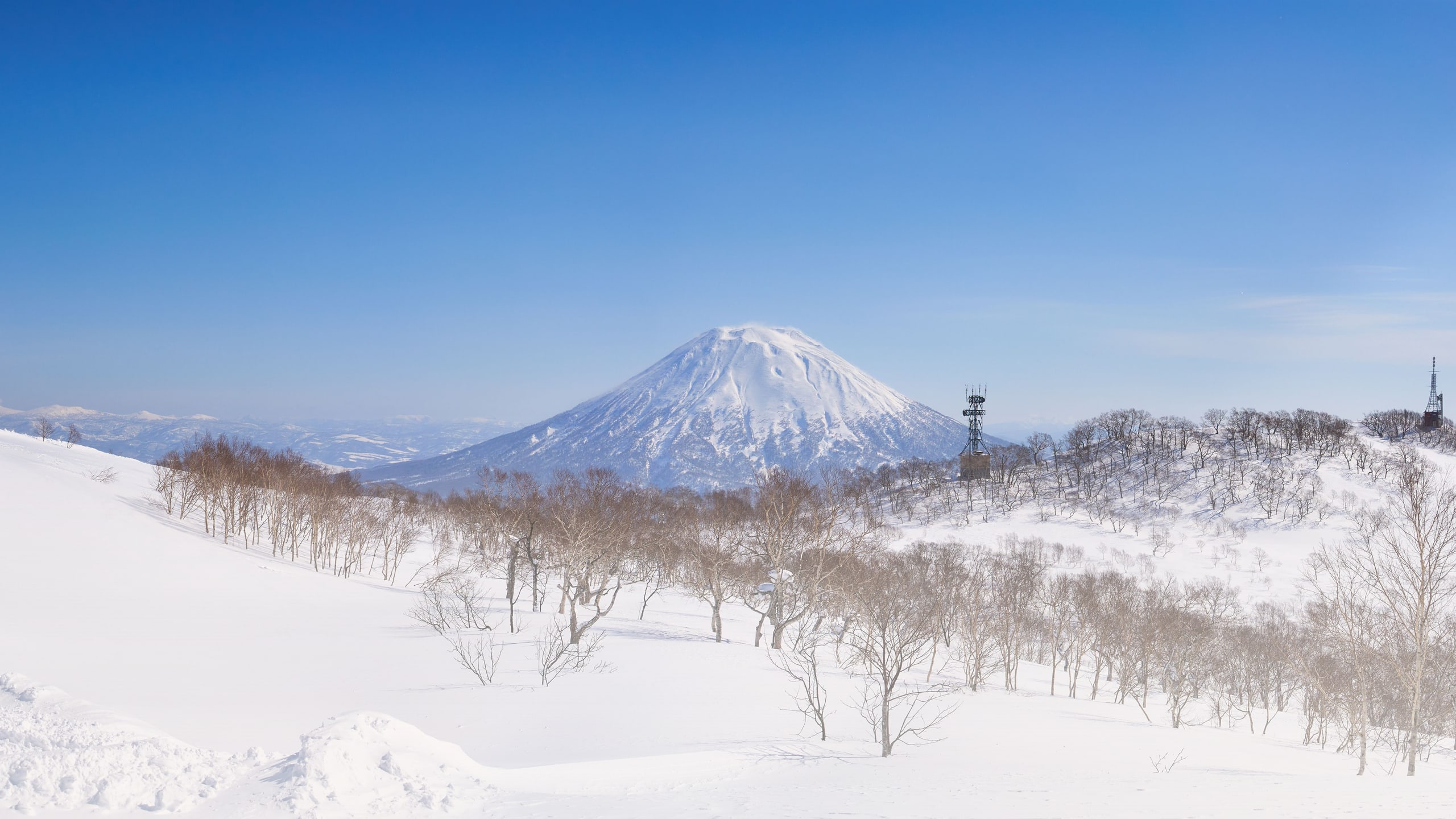 Mount Yotei, a white cone under a clear sky, across the valley from a broad slope of untouched snow and bare birches