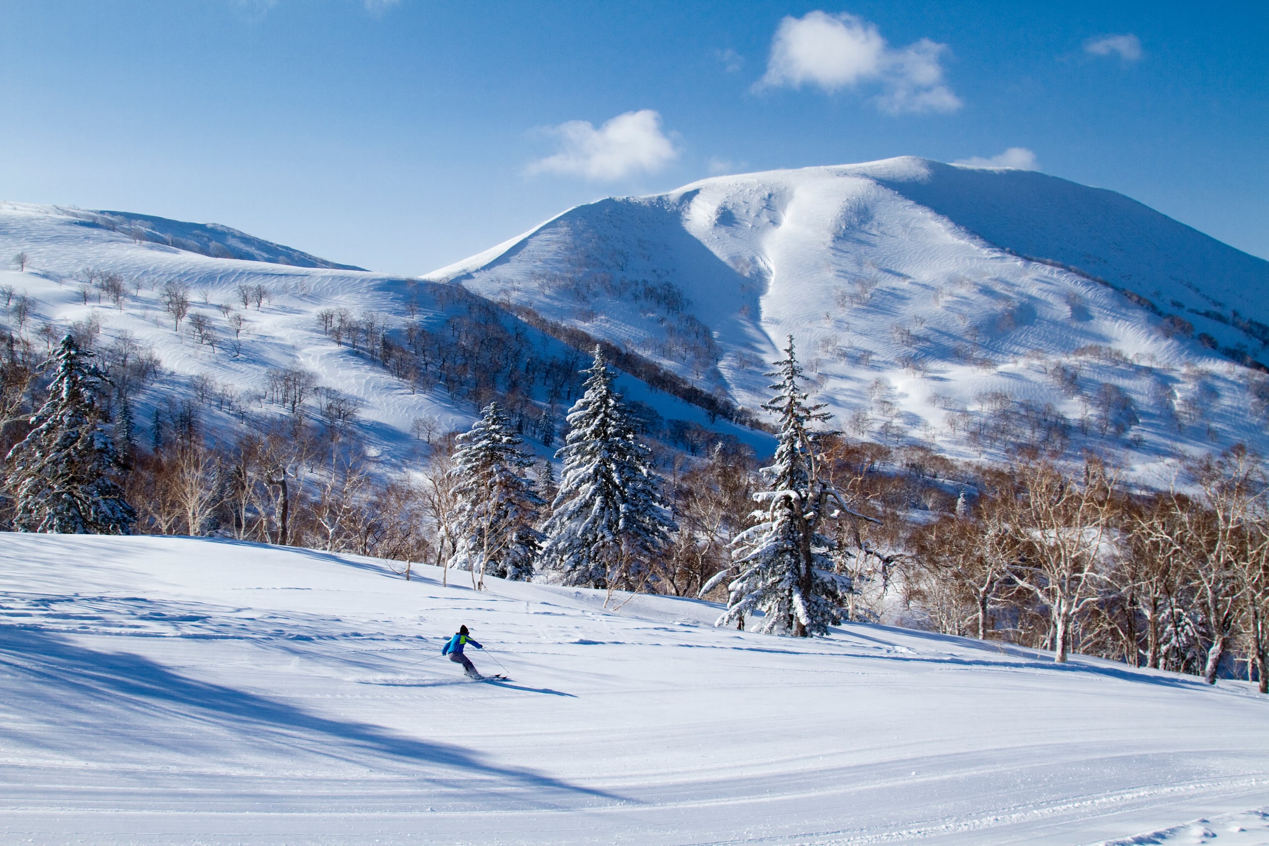 A skier on a wide groomed run at Kiroro, snow-laden firs beside it and a smooth white summit against a blue sky