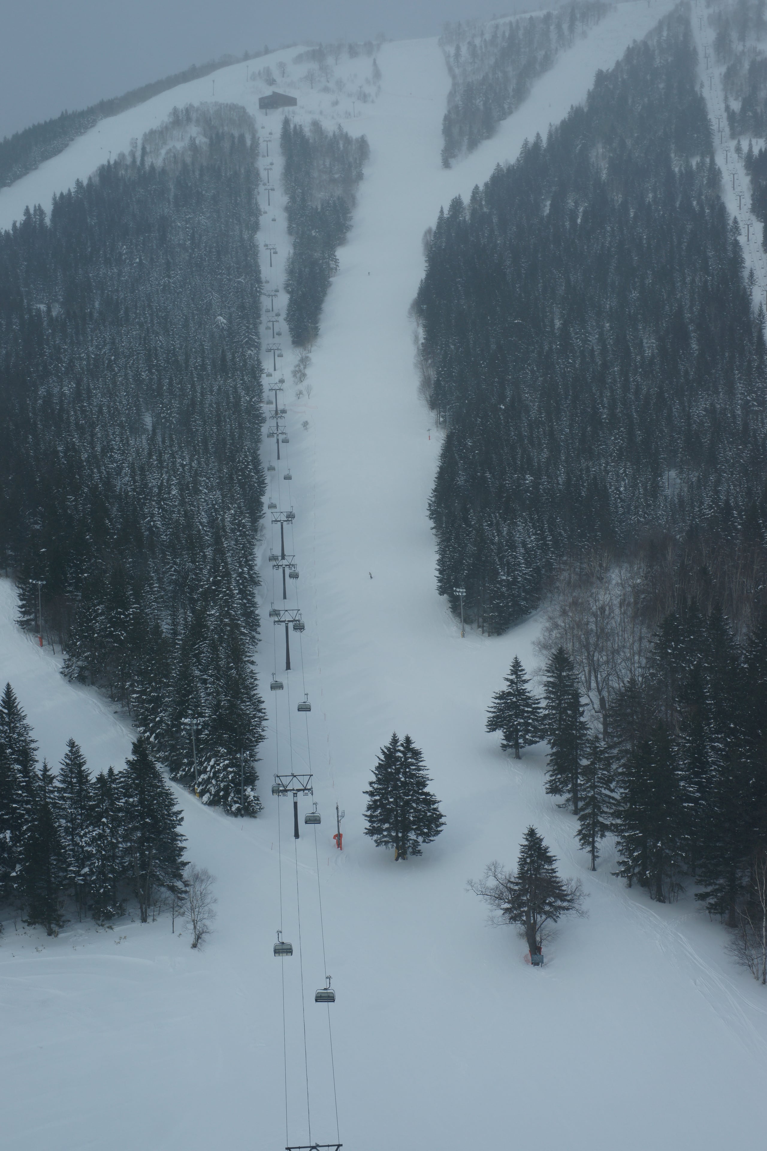 A long ski run falling straight down the mountain at Tomamu between dark stands of snow-covered conifers, a chairlift beside it