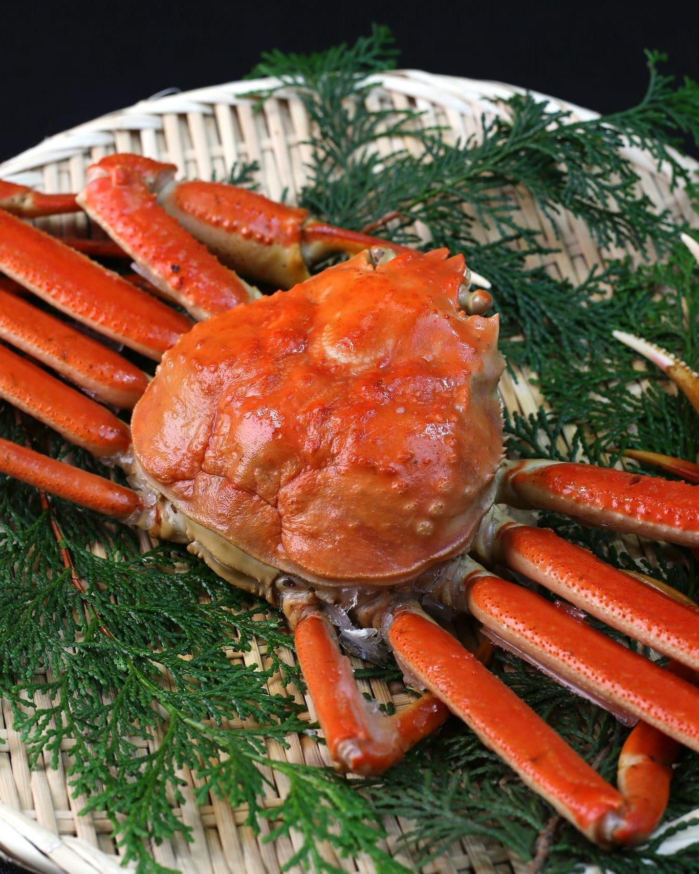 A whole boiled snow crab, its orange legs splayed, on a woven bamboo tray lined with green cedar sprigs