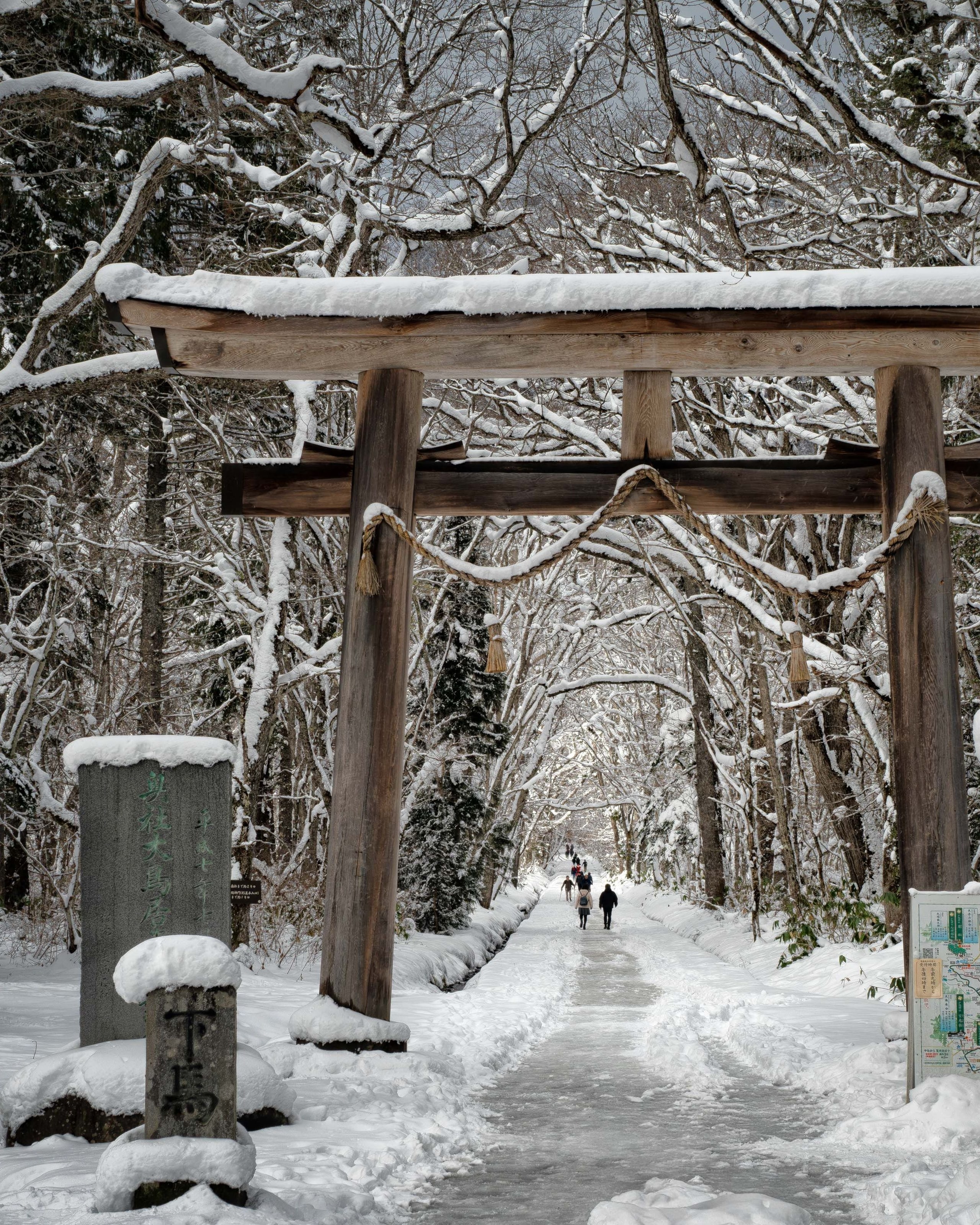 A weathered wooden torii hung with a straw rope, snow along its beams, at the start of a path into a forest of snow-laden trees