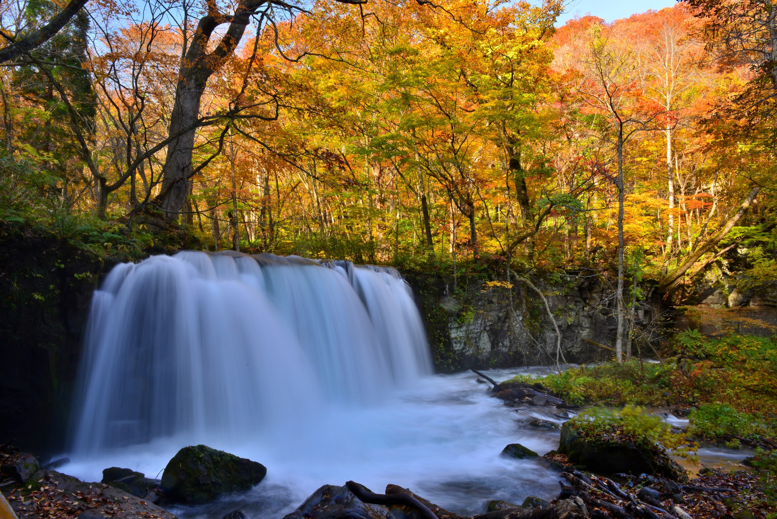 A wide curtain waterfall spilling over a rock ledge into a forest of gold and orange autumn leaves