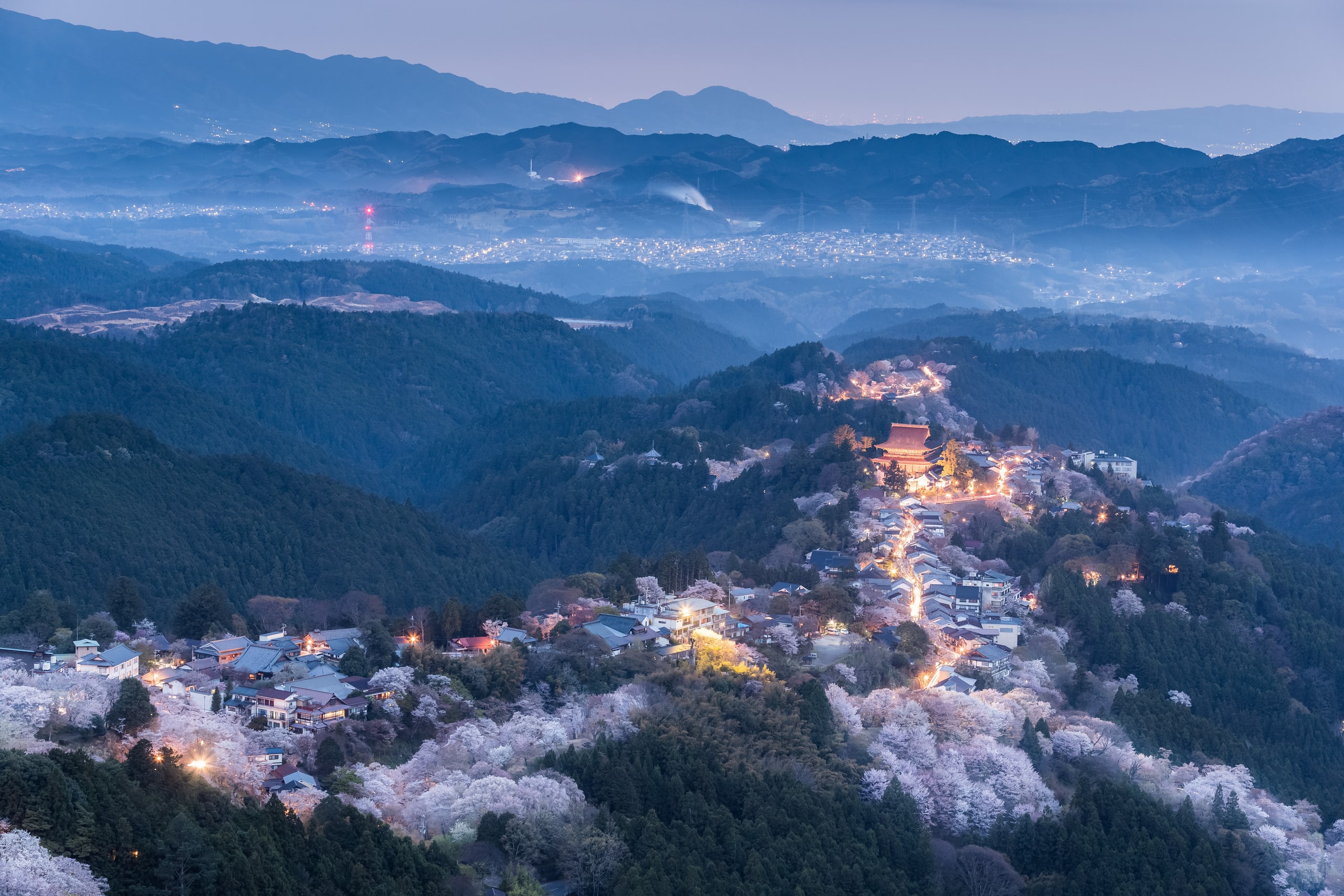 Mount Yoshino at dusk from above, the temple town lit along its ridge and the slopes below white with wild cherry