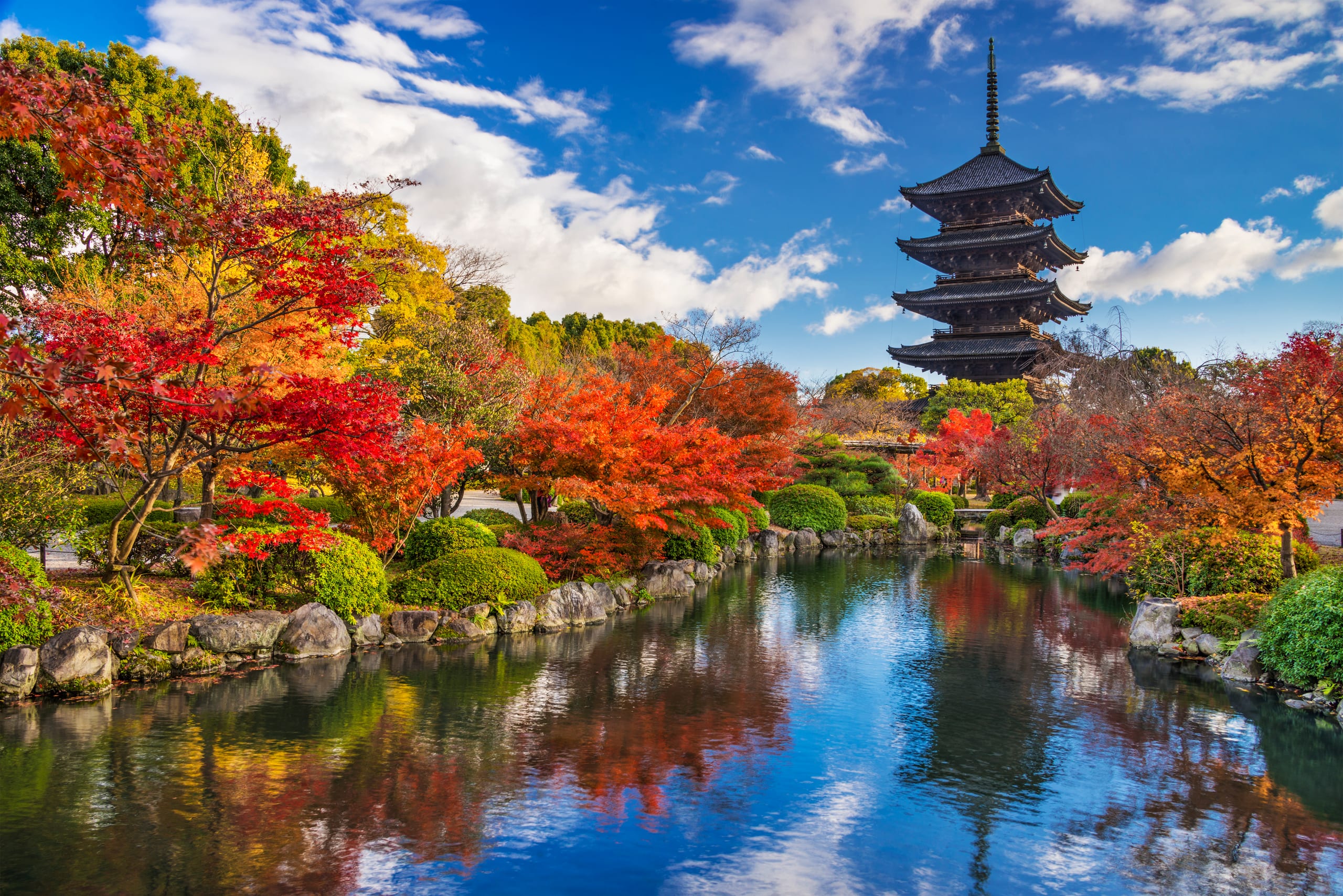 The five-storey pagoda of Toji rising beyond a pond garden in red and orange maples