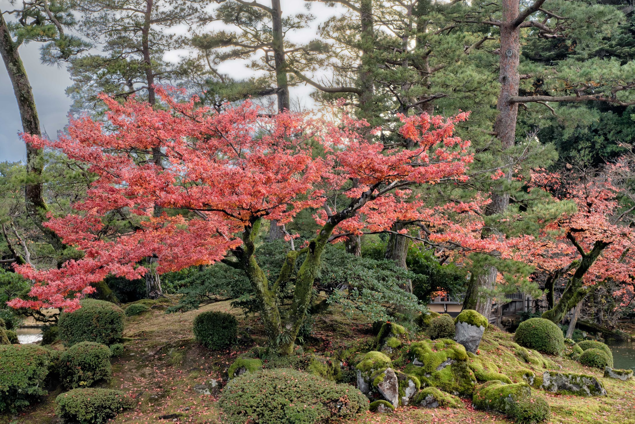 Kanazawa