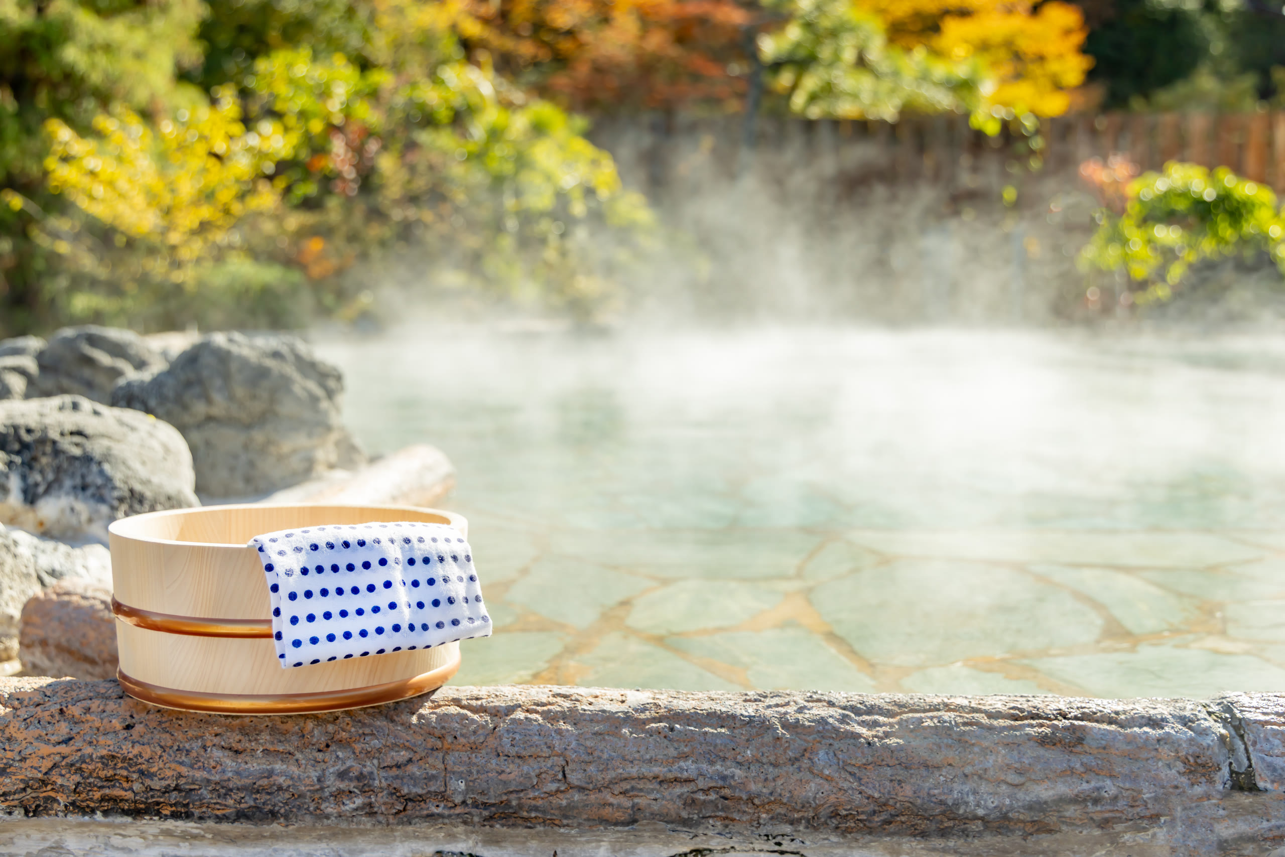The bath in the beech forest at Nyuto