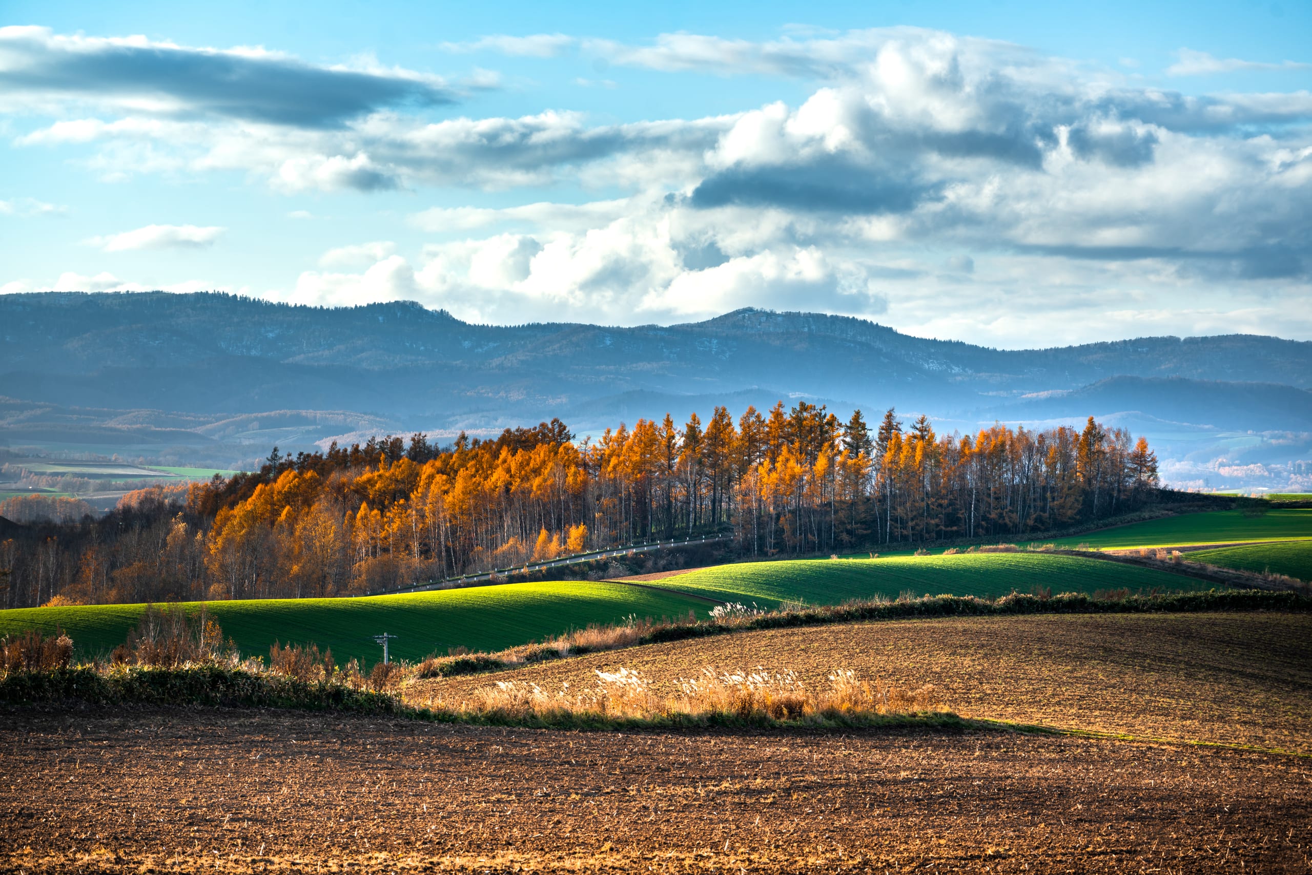 South through the farm country