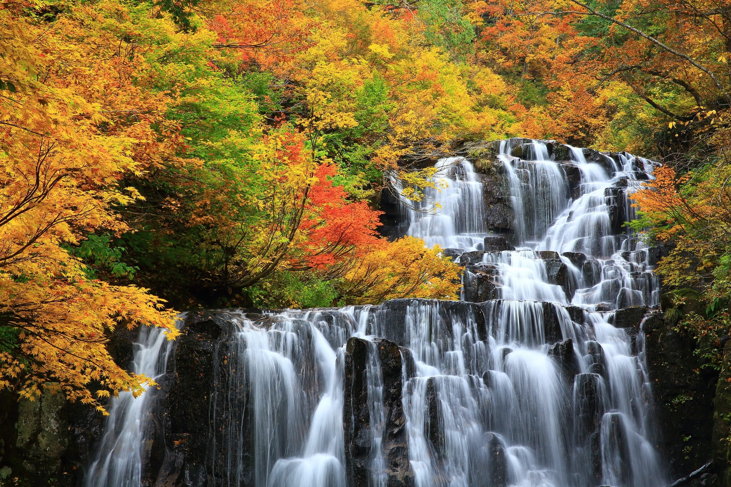 A wide tiered waterfall falling over dark rock beneath red and gold autumn trees