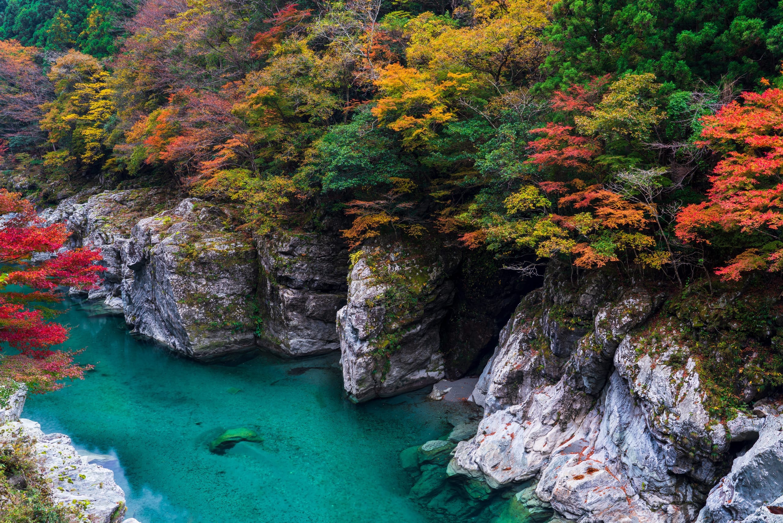 A turquoise river gorge in northern Japan lined with red and gold autumn maples