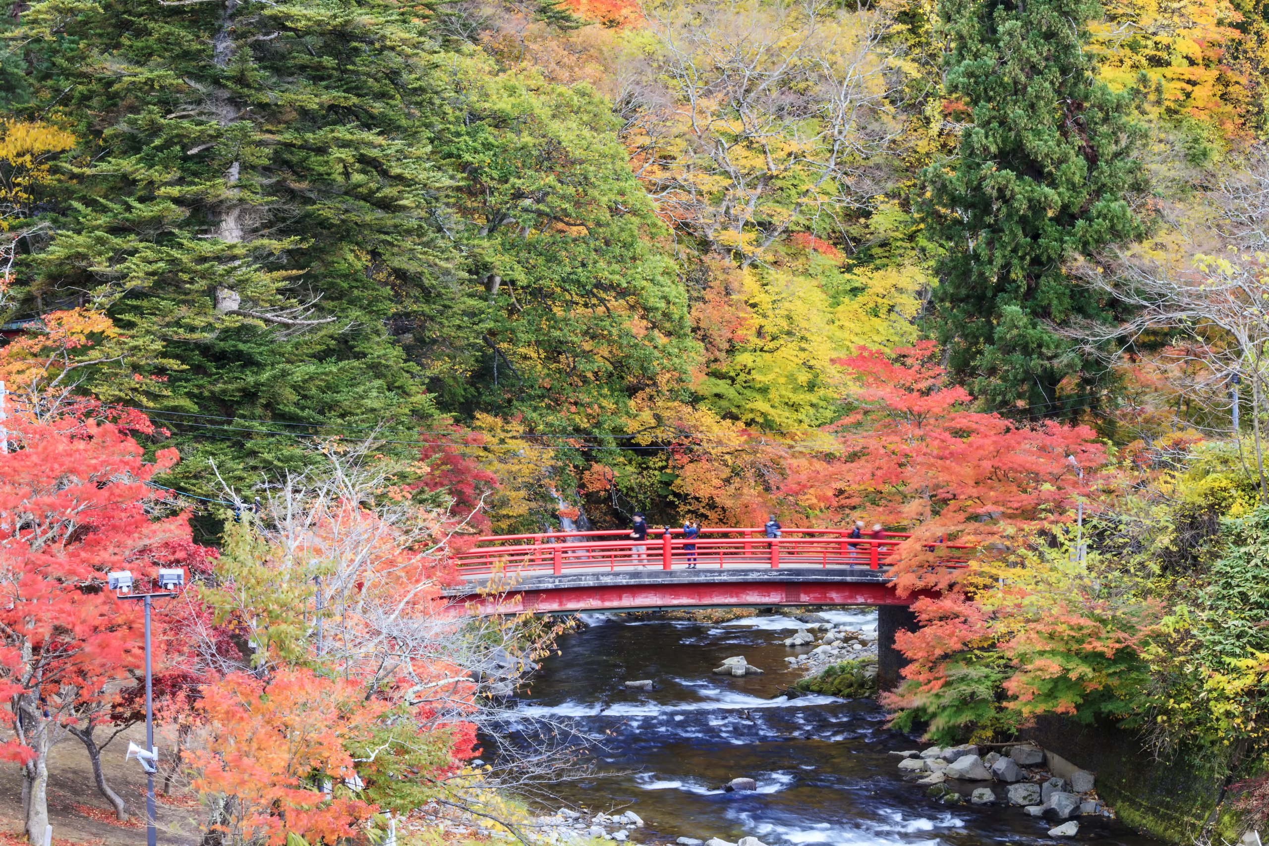 A red arched bridge over the white water of the Oirase gorge, Aomori, the forest around it in autumn colour