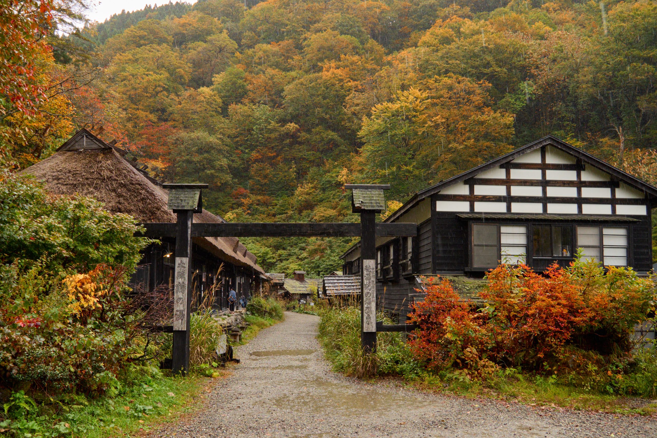 The gate of Tsurunoyu at Nyuto Onsen, its thatched and timber bathhouses under the autumn beech forest