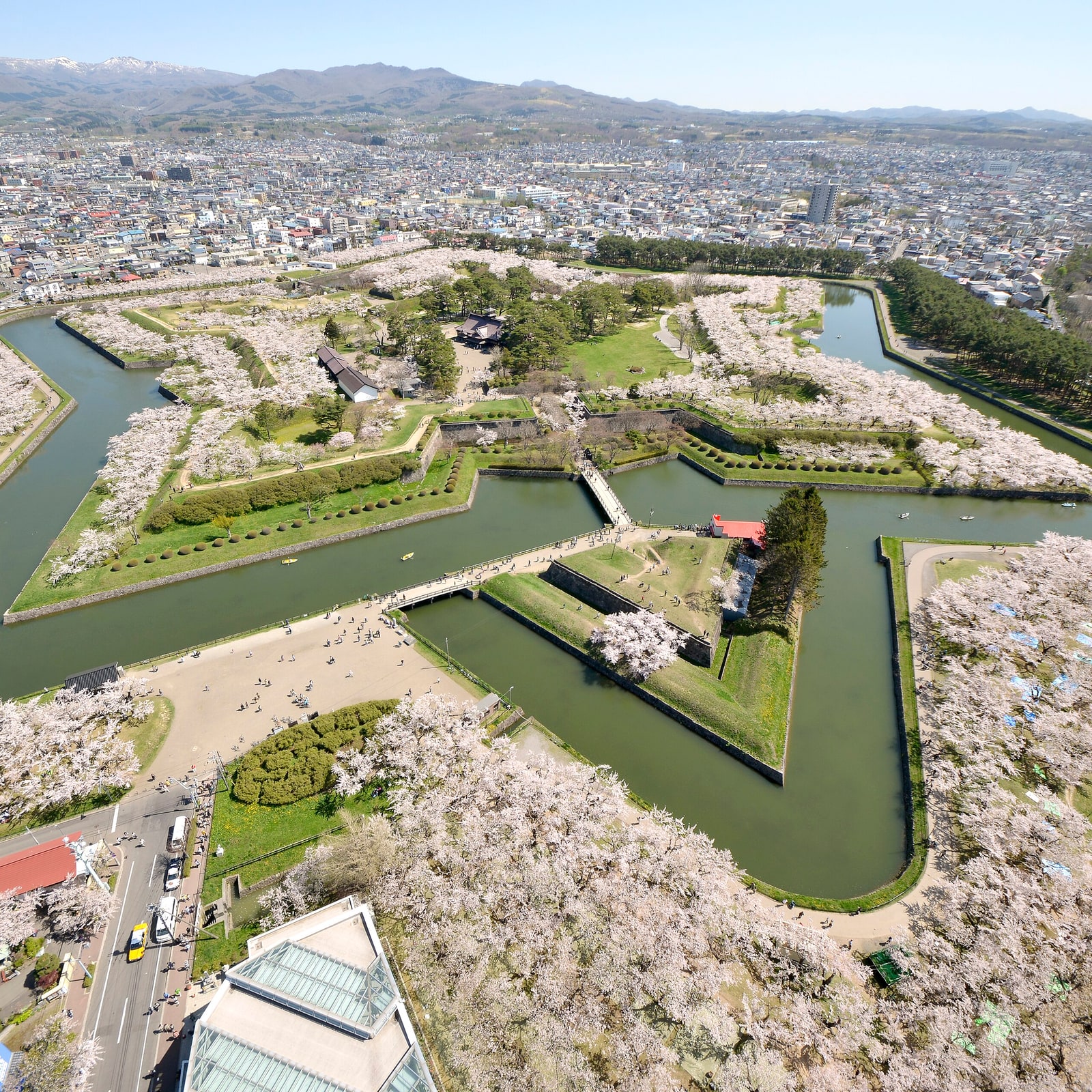The five-pointed star of Goryokaku fort in Hakodate, seen from above and ringed with cherry blossom