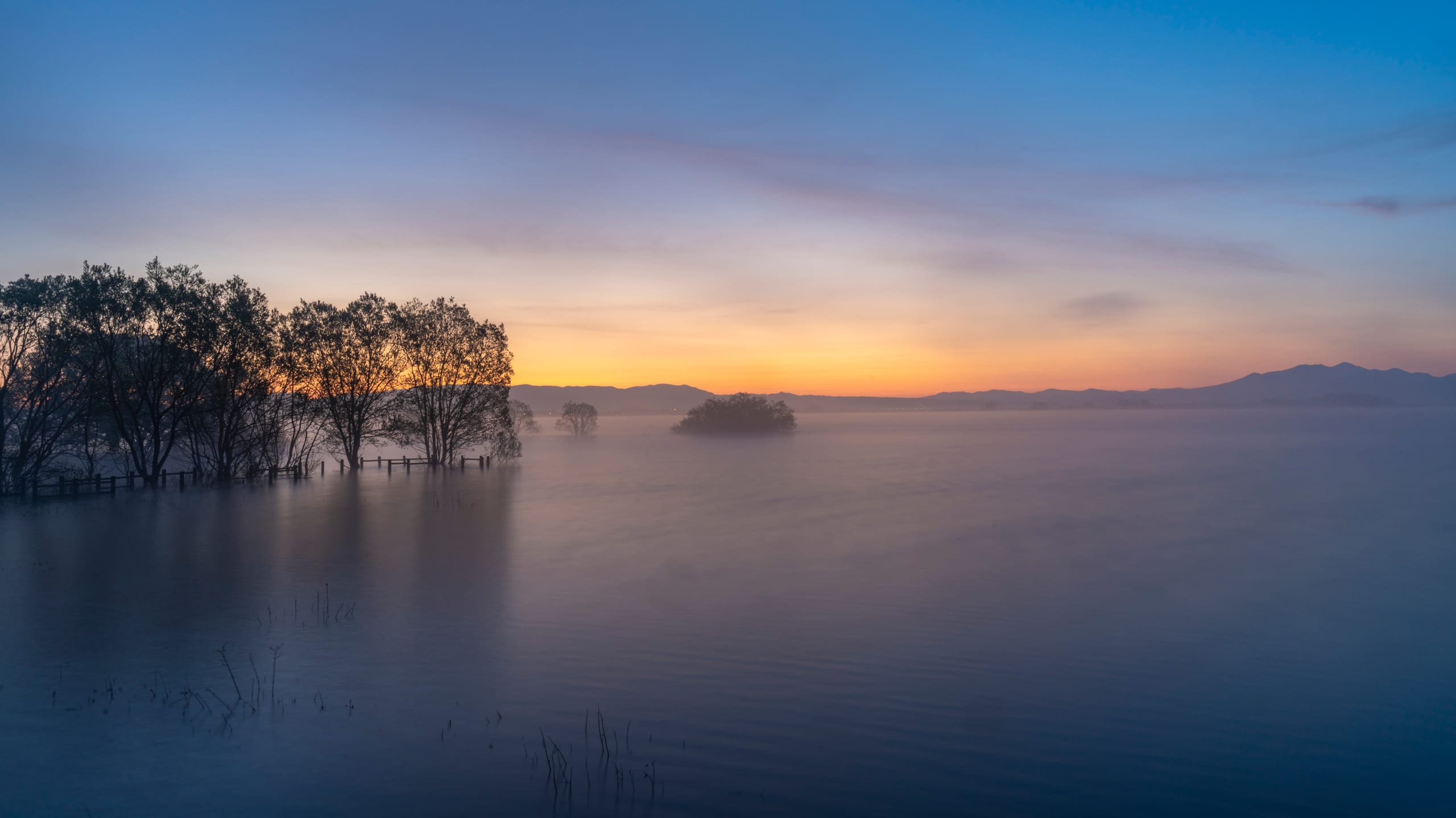 A misty lake with silhouetted trees along the far shore