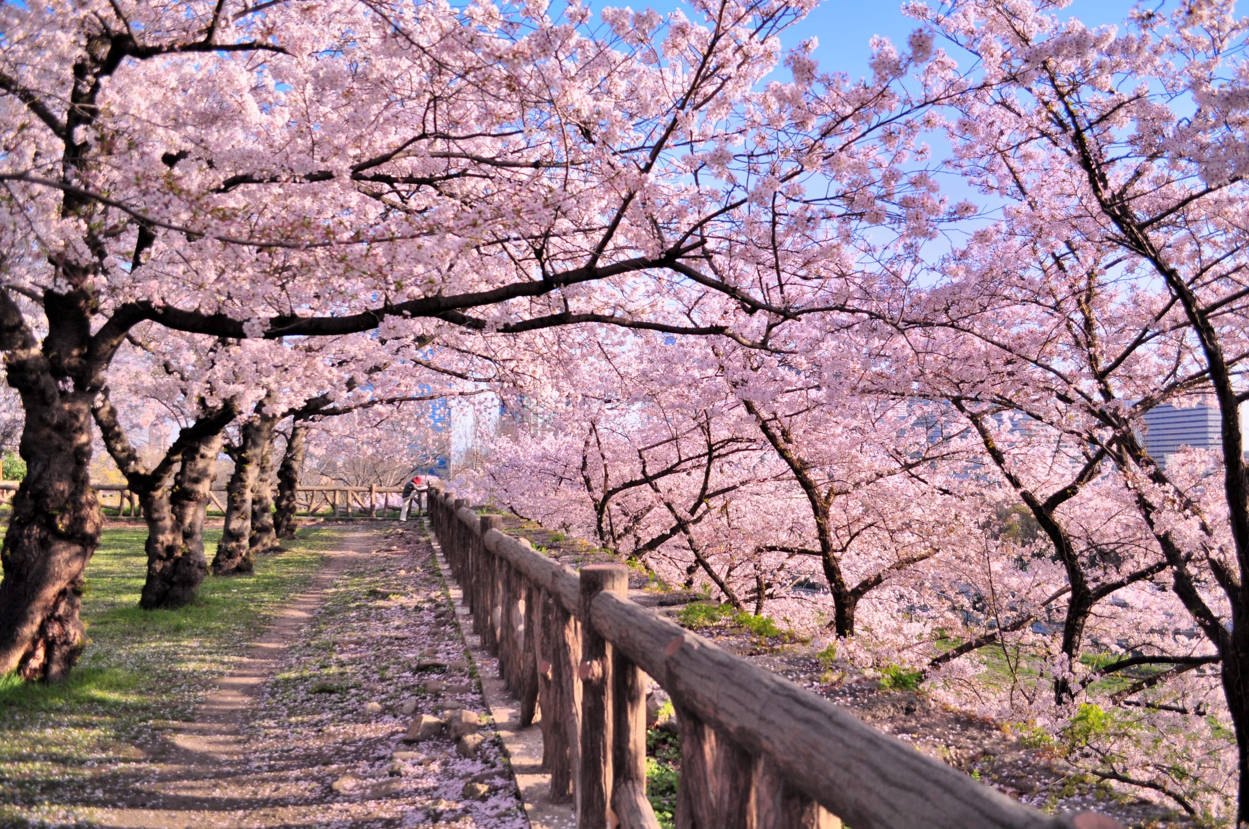 Kyoto