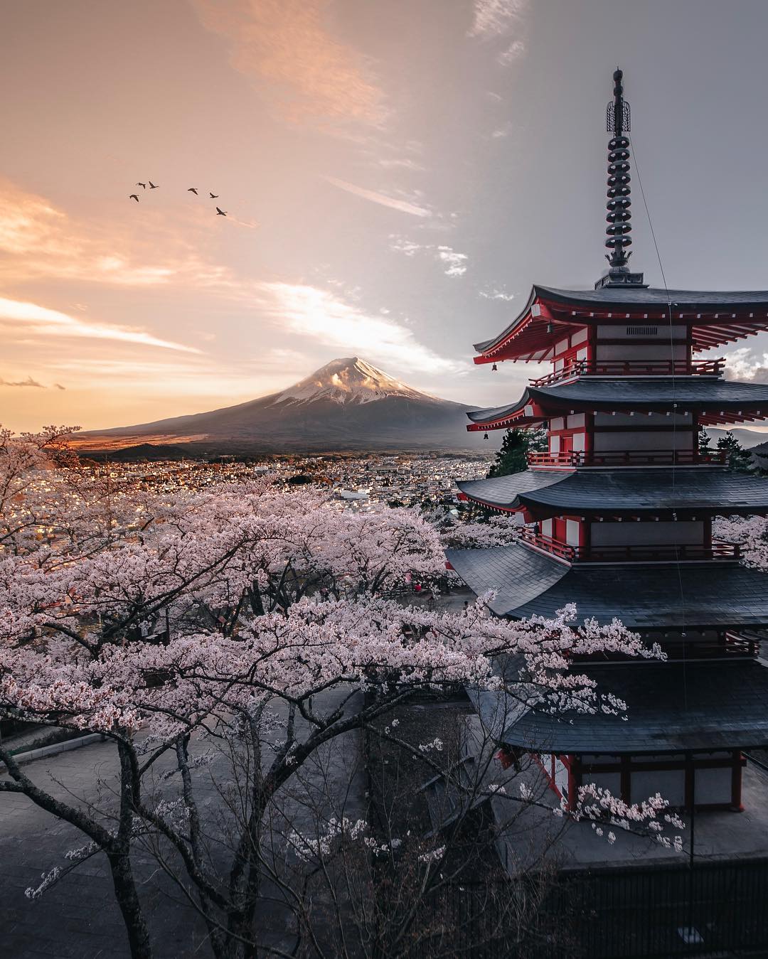 Fuji, and the pagoda before it