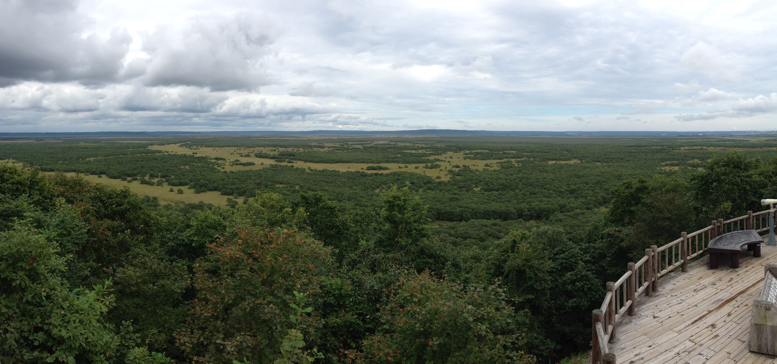 The Kushiro wetland from its observation deck, a green plain running to the horizon
