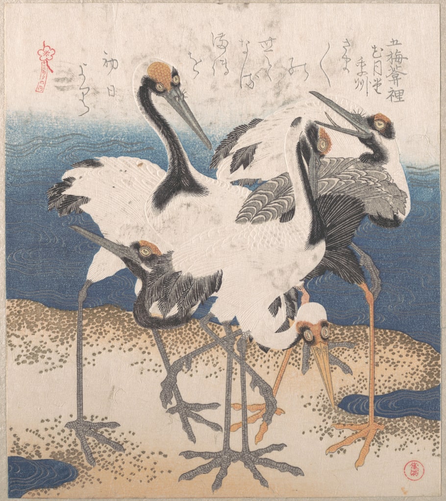 Five red-crowned cranes gathered at the water's edge: a woodblock print by Totoya Hokkei