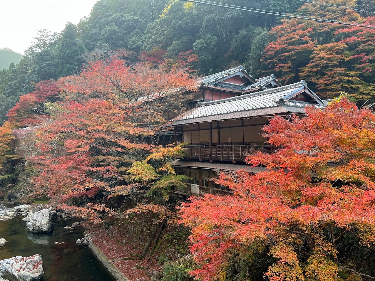 A timber ryokan above a river gorge, its balconies among red and orange maples in autumn